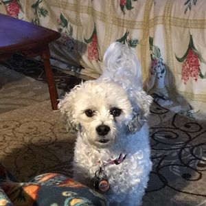 Meet your Posher, Bernice